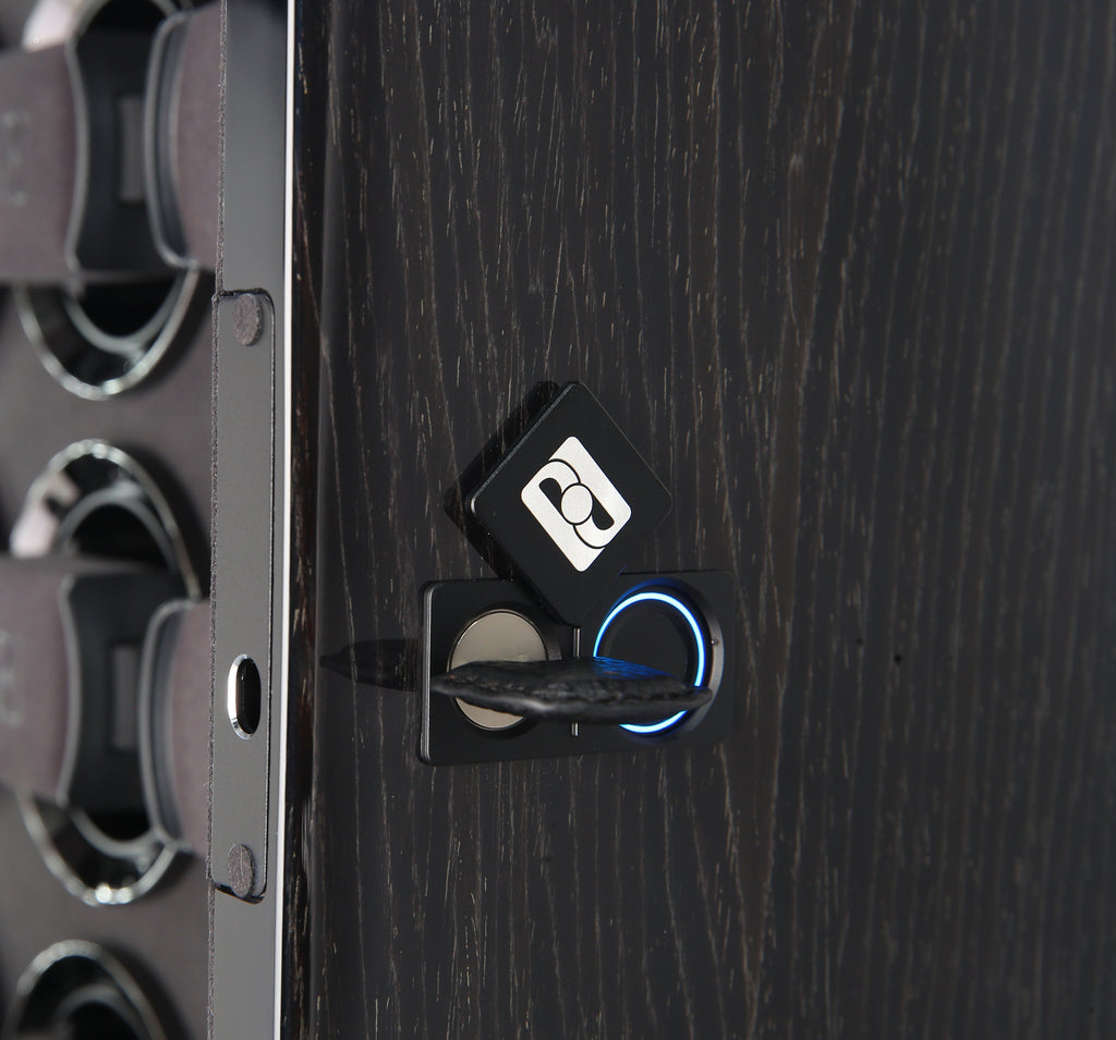 Gentlemen 8 Black Apricot