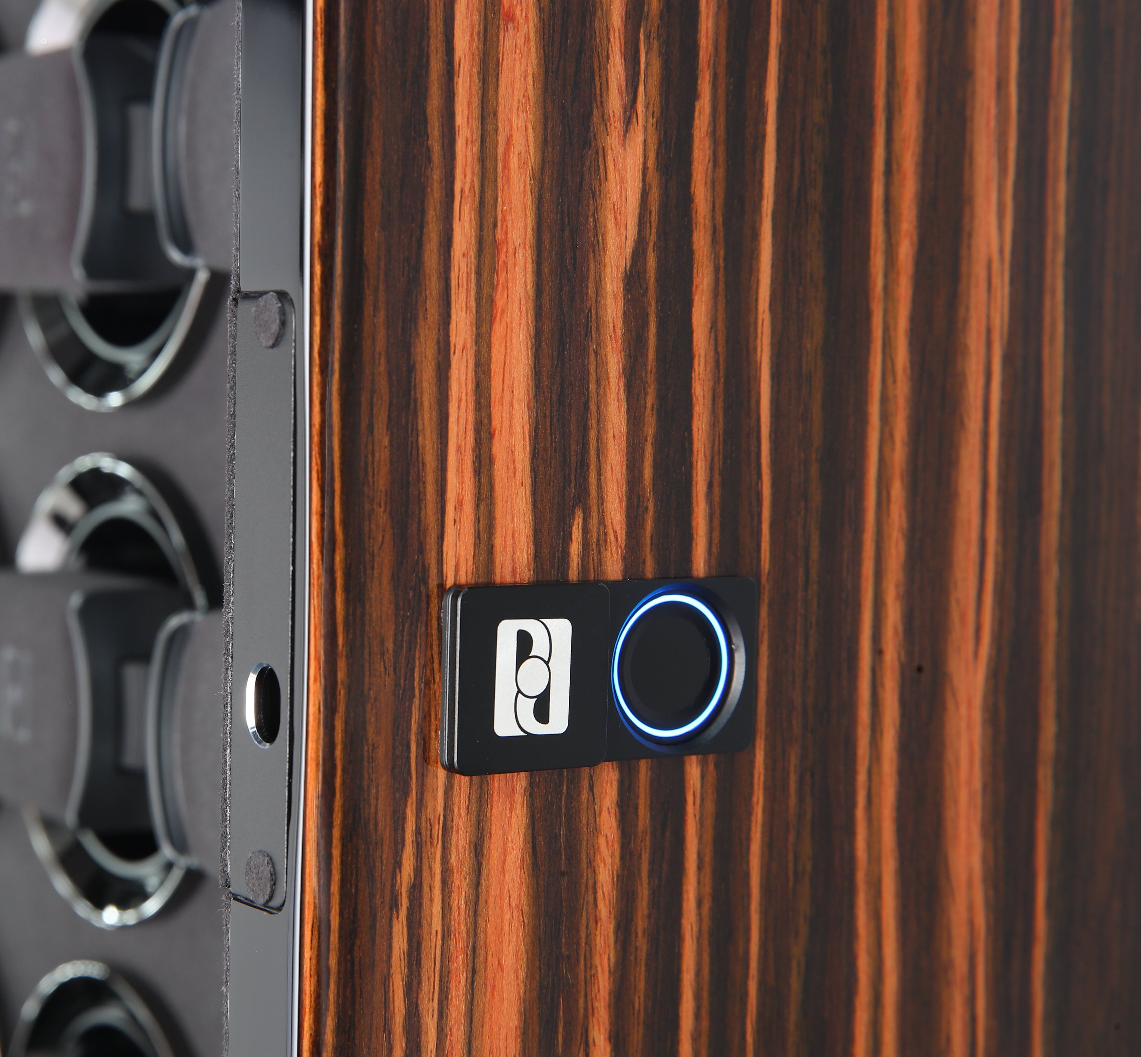 Gentlemen 8 Macassar