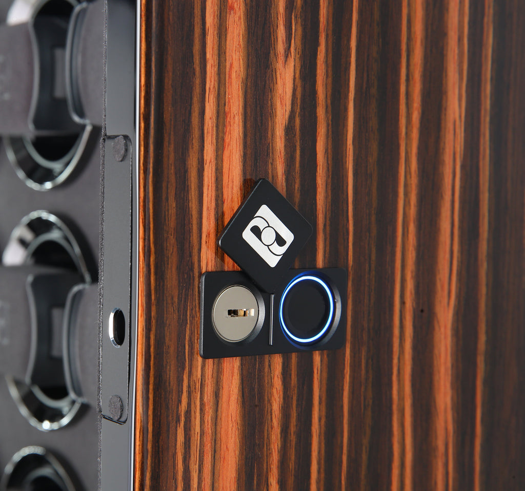 Gentlemen 8 Macassar