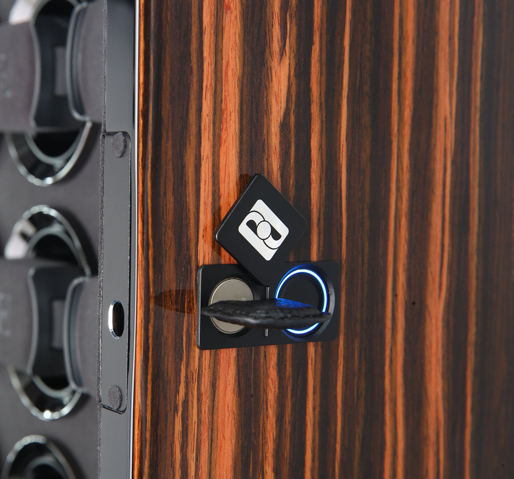 Gentlemen 8 Macassar